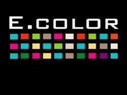 "E Color Pinturas"